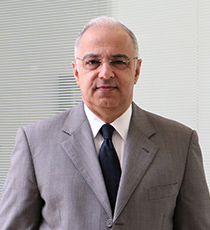 Ahmed A Wahab